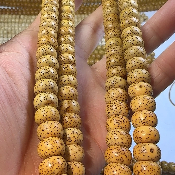 老脱脂星月菩提114