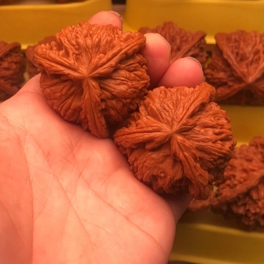 打***阳核桃核桃核桃核桃