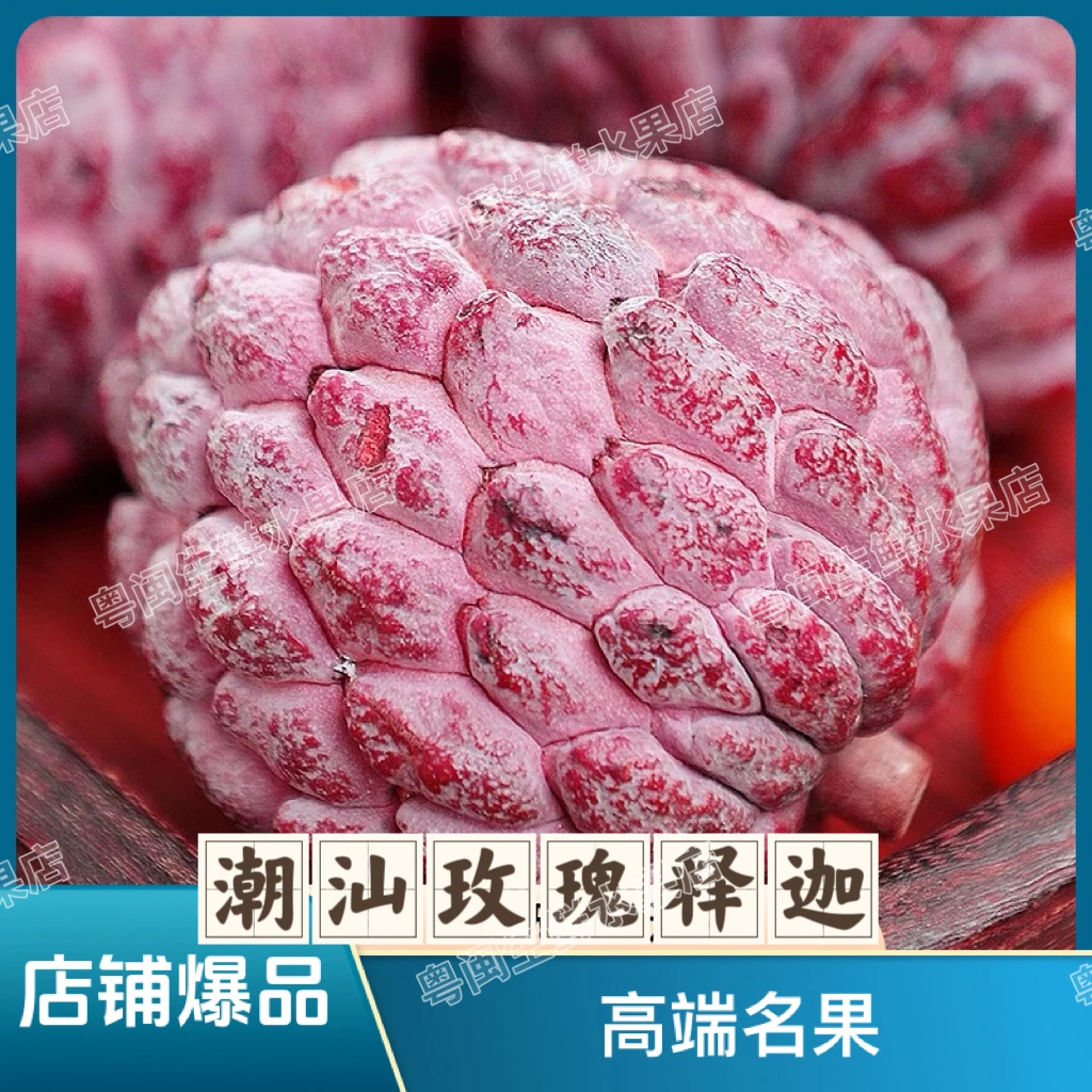 稀有品种玫瑰释迦樟林林檎潮汕玫瑰林檎果番荔枝大目释迦佛头果