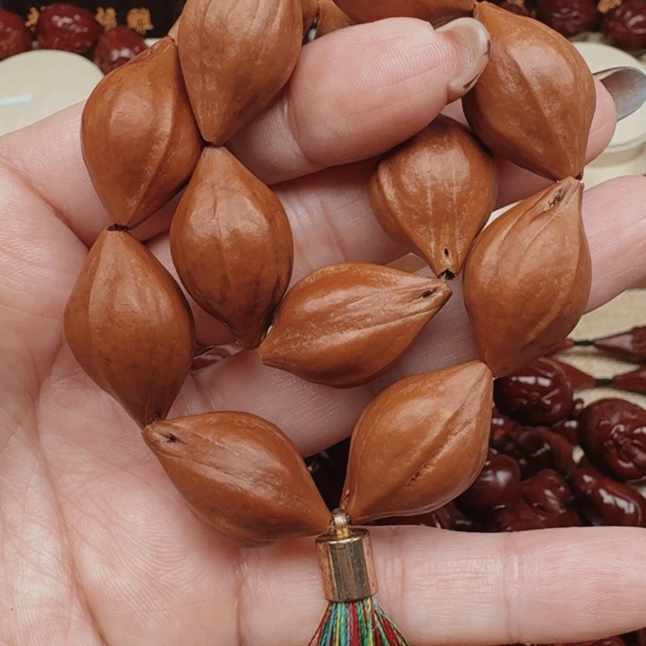 橄榄核原皮铁素88