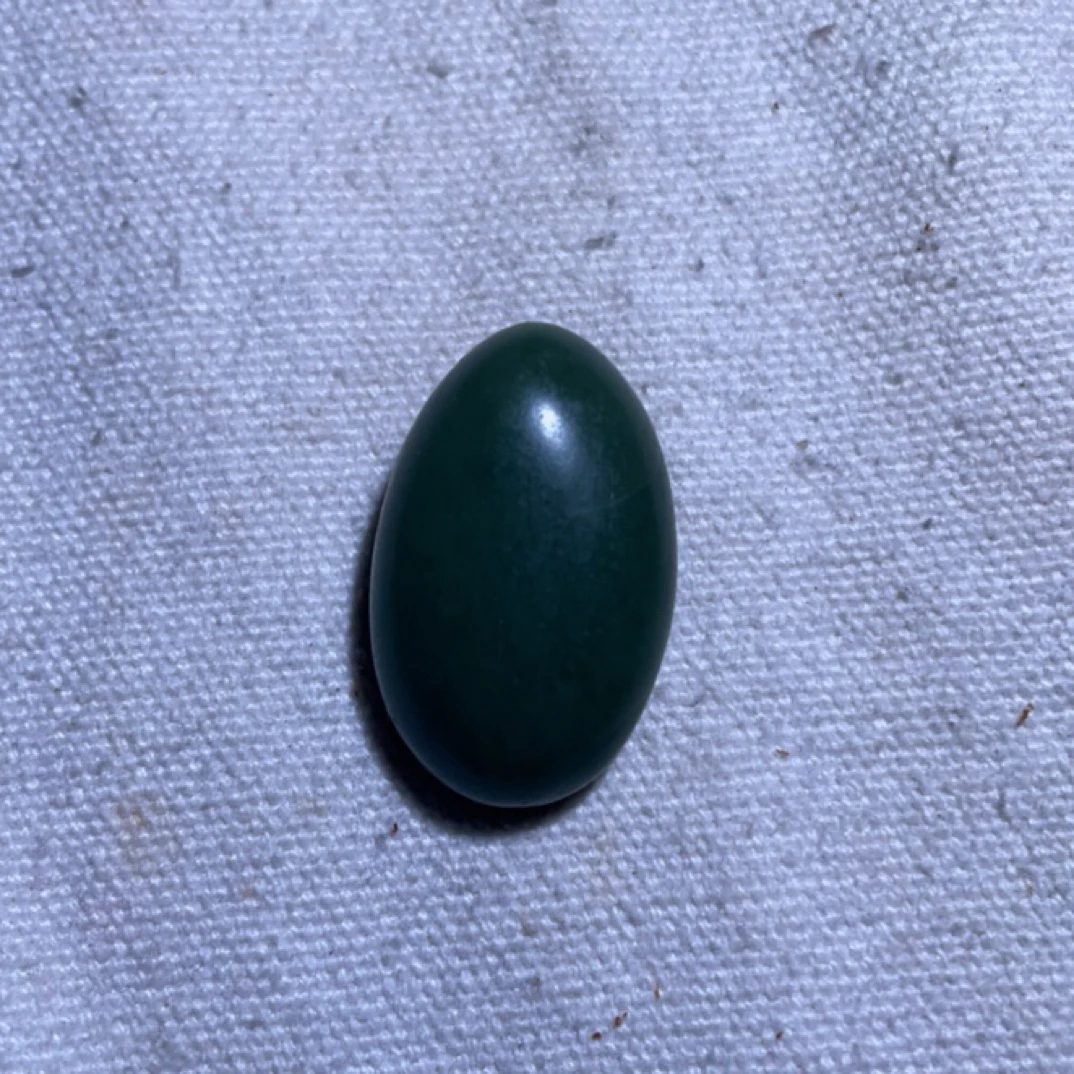 和田玉沙枣清手串子