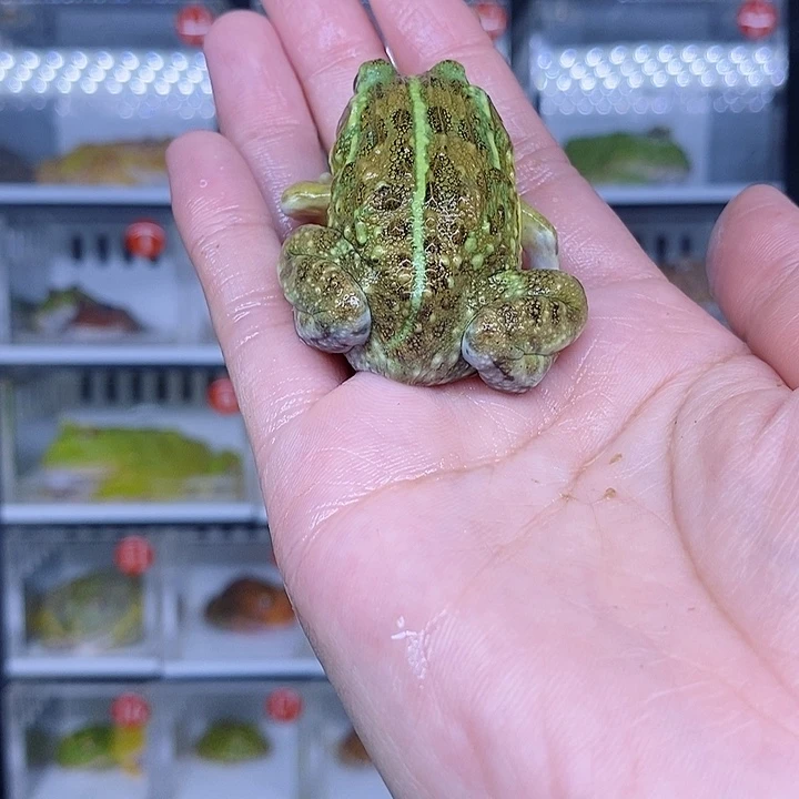 特价秒杀现货特价残