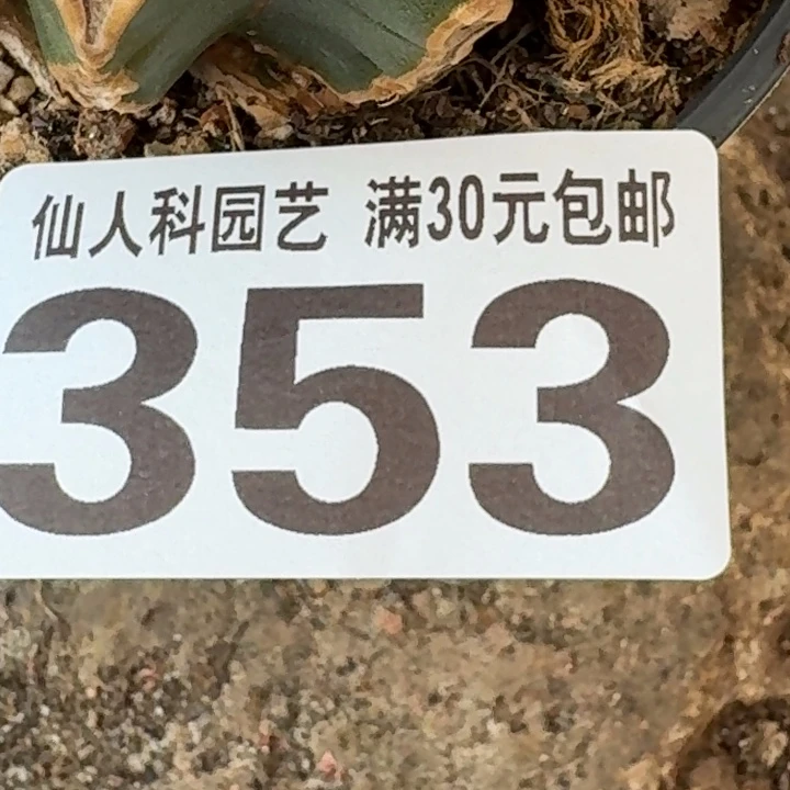 一***。无花朵福利大尤353
