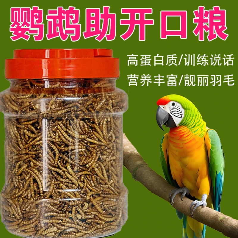 鹦鹉专用高蛋白面包虫干虎皮牡丹玄凤训练奖励认主零食黄粉鸟饲料