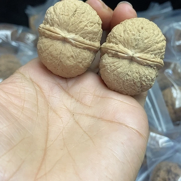 木质类云南铁核桃基地45