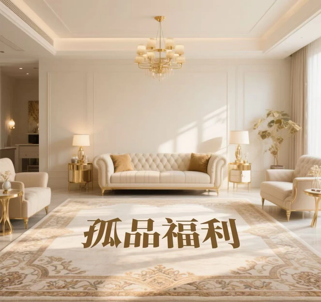 A01-A100孤品福利！现代简约轻奢风地毯  客厅毯   门垫  床边毯