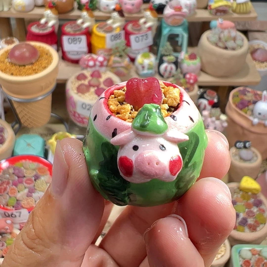 多肉植物92号拇指盆