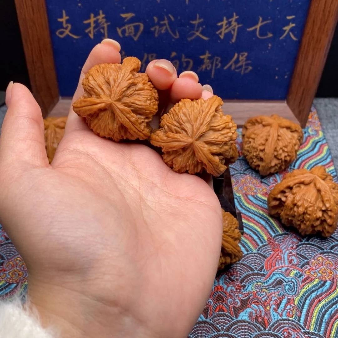 【闪购商品】弹*白狮