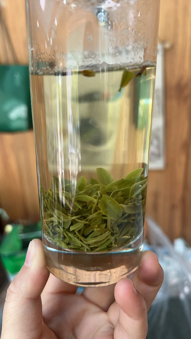 信阳毛尖2025年春茶茶片信阳毛尖固始高山老旱茶片一斤装