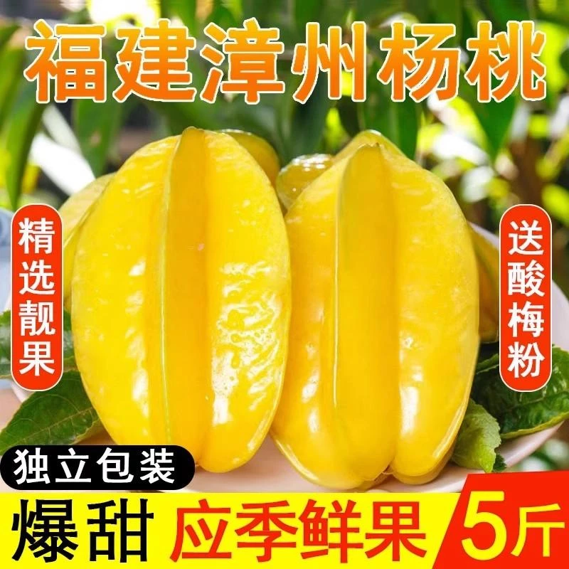 【现货速发】福建漳州新鲜杨桃当季水果清甜多汁皮薄现摘现发顺丰