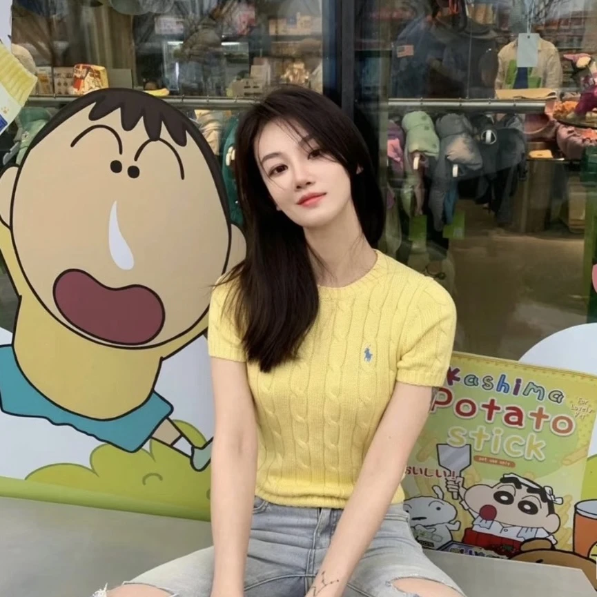 {容姨}短袖12色刺绣小马圆领针织毛衣