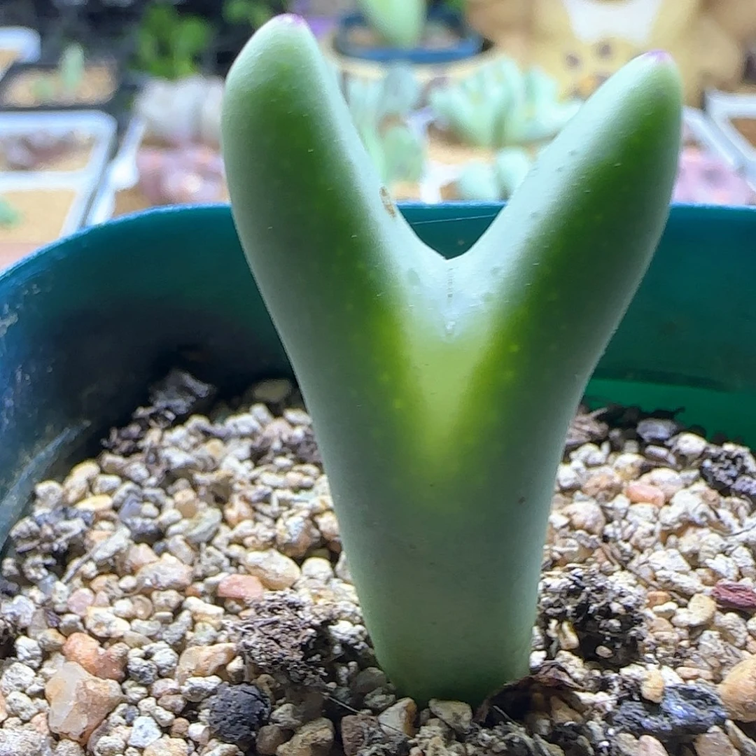 哈哈哈哈哈哈哈58056