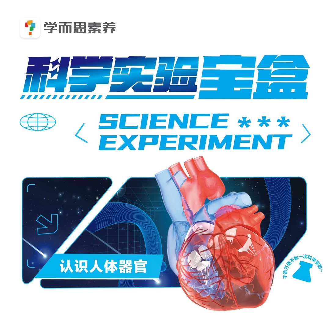 学而思认识人体器官 儿童科学小实验套装小学生物理化学steam玩具