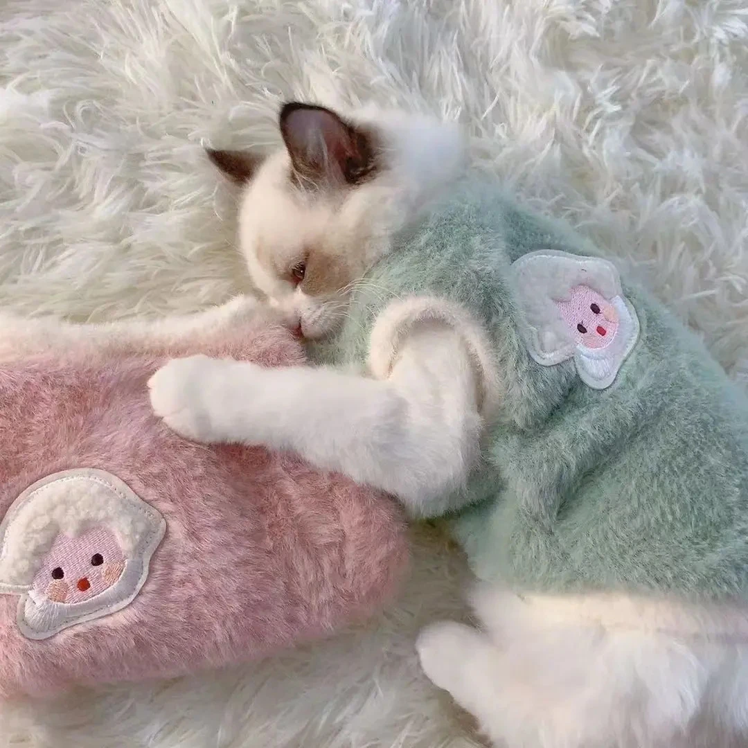 猫咪衣服秋冬季保暖加厚背心防掉毛布偶蓝猫加菲猫小型犬宠物服饰