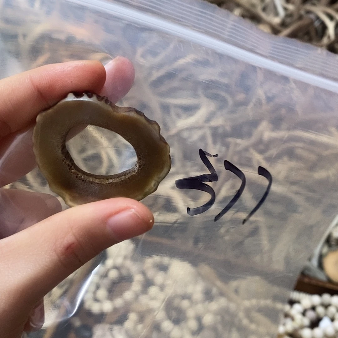 锦****非金属鹿角鹿角鹿角