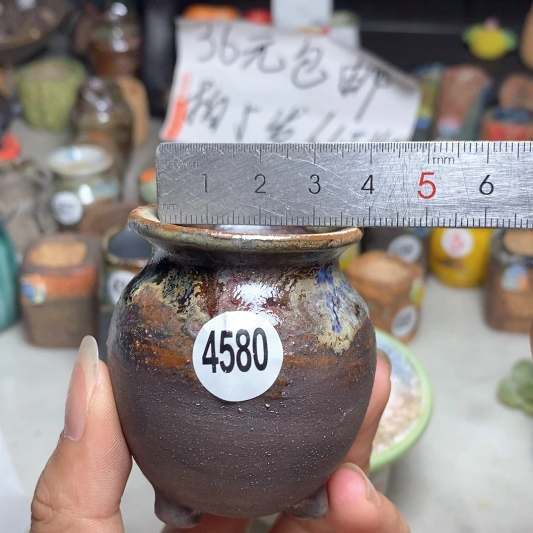 拍5送一个小礼物