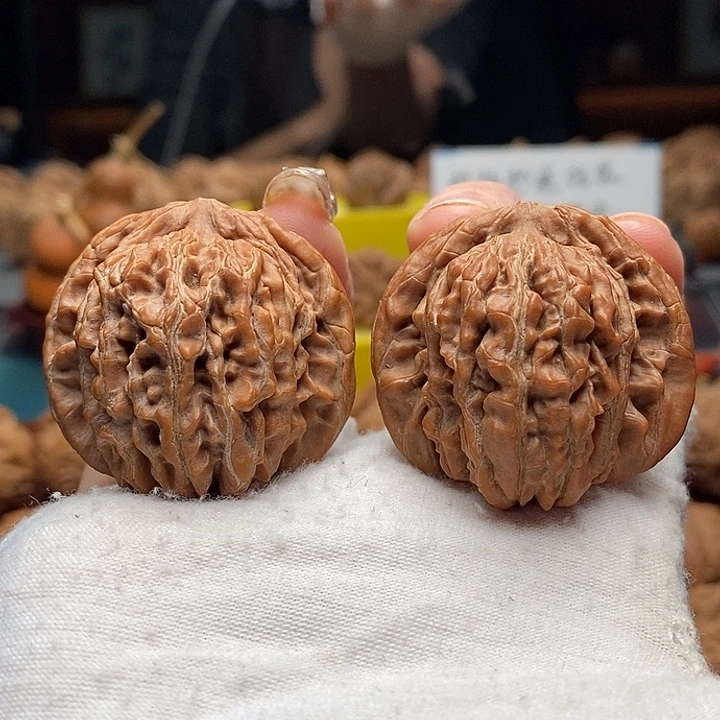 核桃6号 30尺蓟县四座楼 全品 白茬