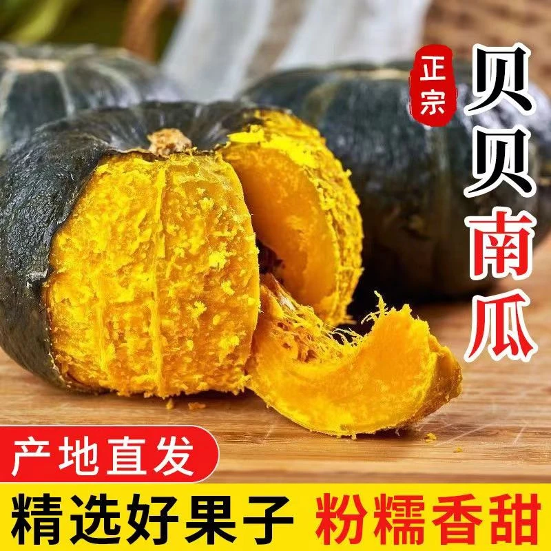 正宗贝贝小南瓜板栗味粉糯香甜绿色蔬菜代餐宝宝辅食健康