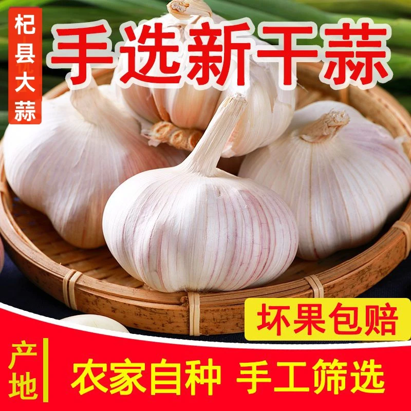《超低价高品质-农家紫白皮新干蒜》农家自种产地直发整箱批发