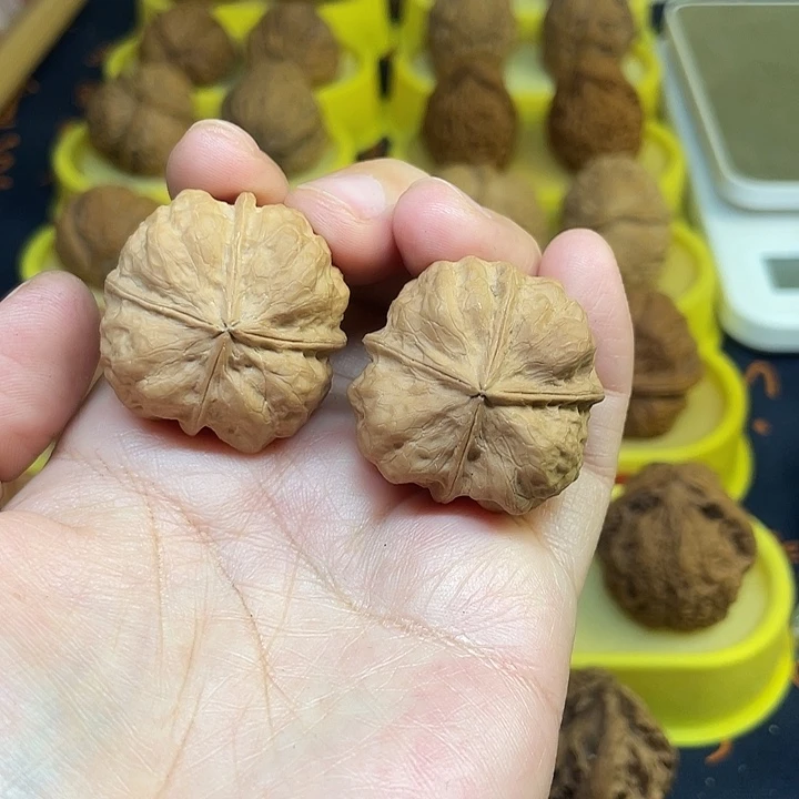 文玩核桃把件47、血舍利四棱33