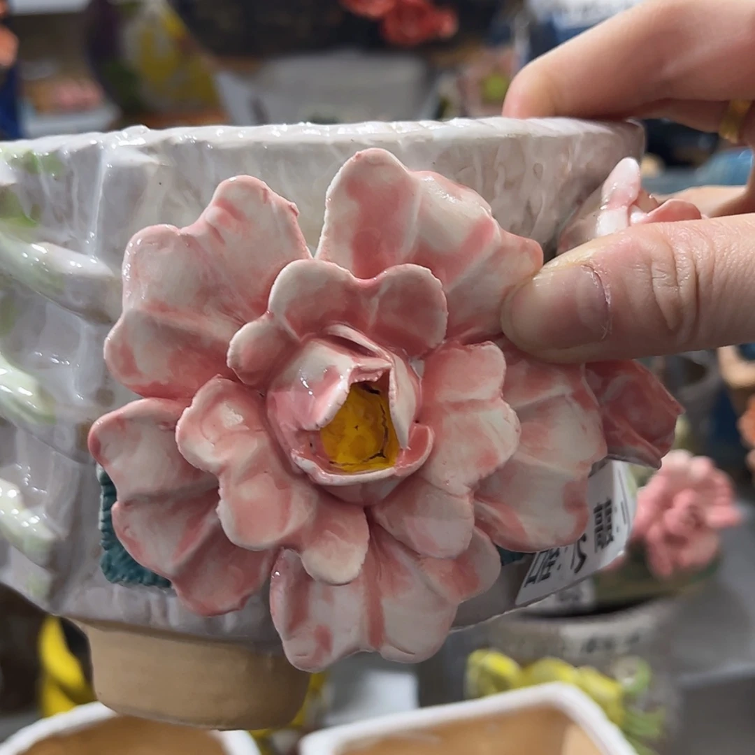 【闪购商品】红陶福利