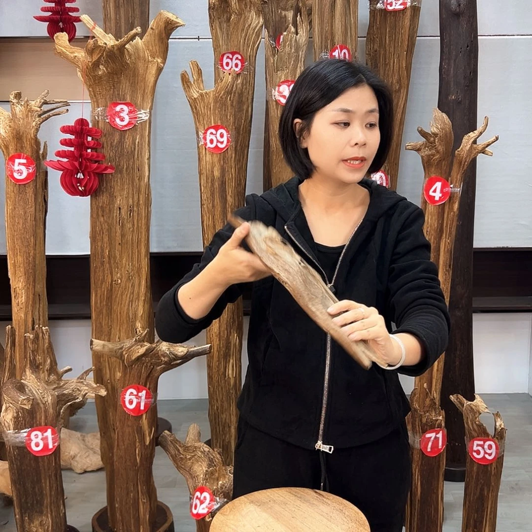 沉香摆件海南沉香摆件