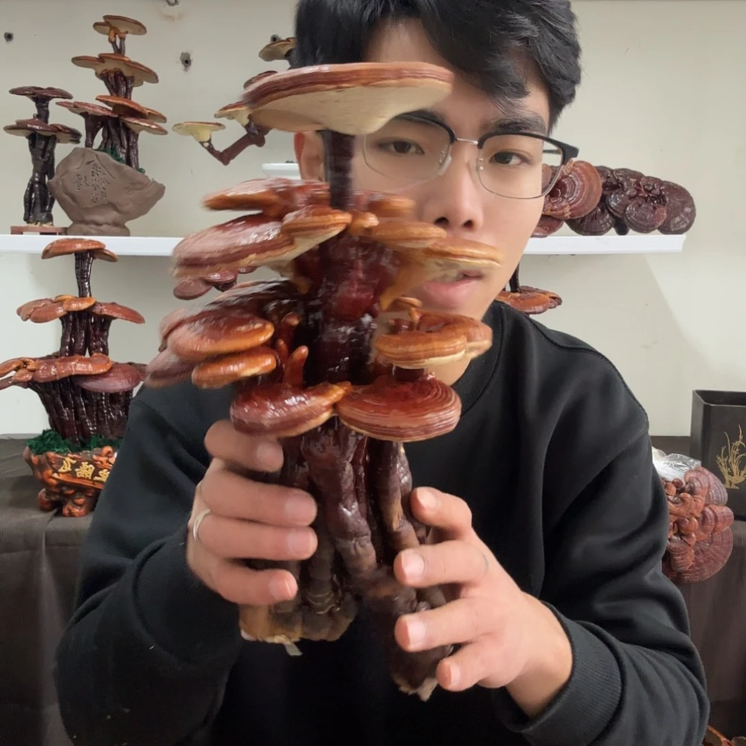 瓦***纳无花朵8888888888