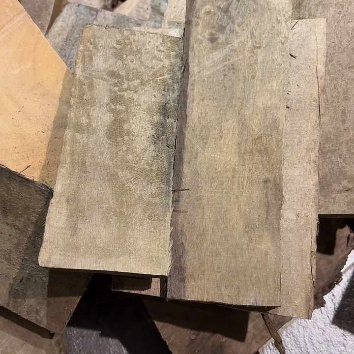 6***8四川小叶金丝楠原材料