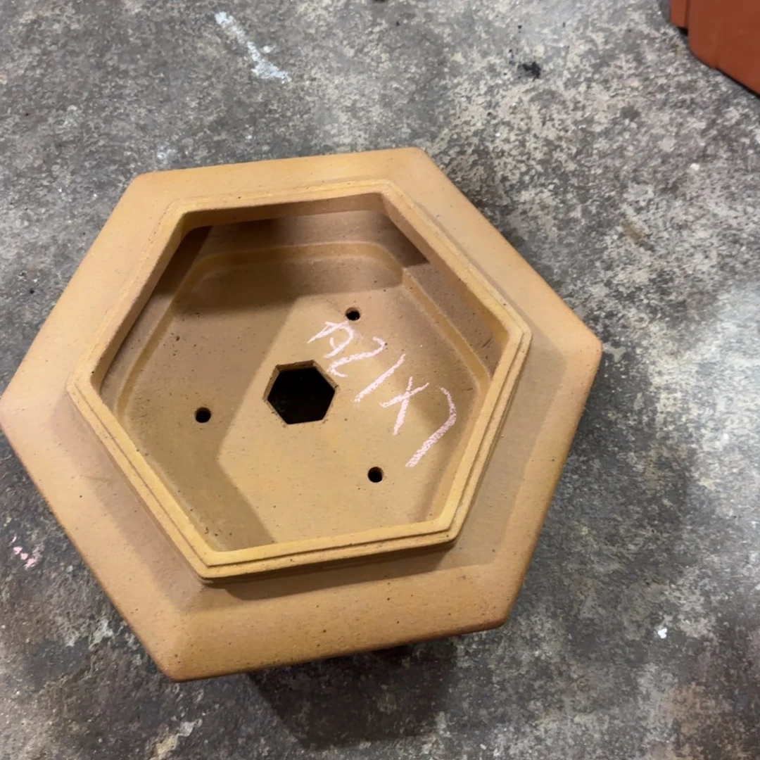 紫砂花盆呜呜呜我的小