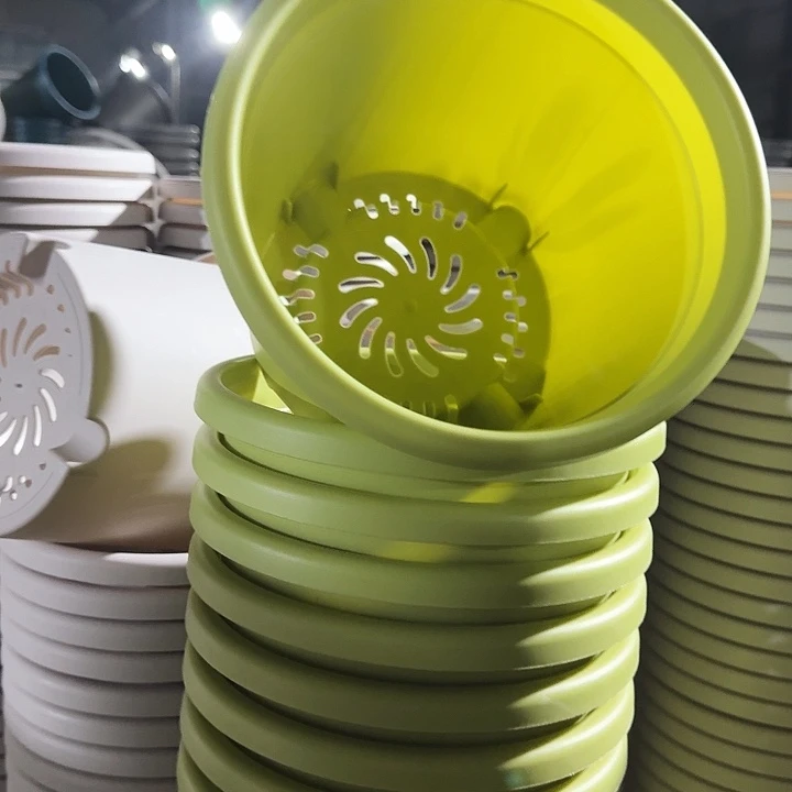 四季3号果绿无托10个特价