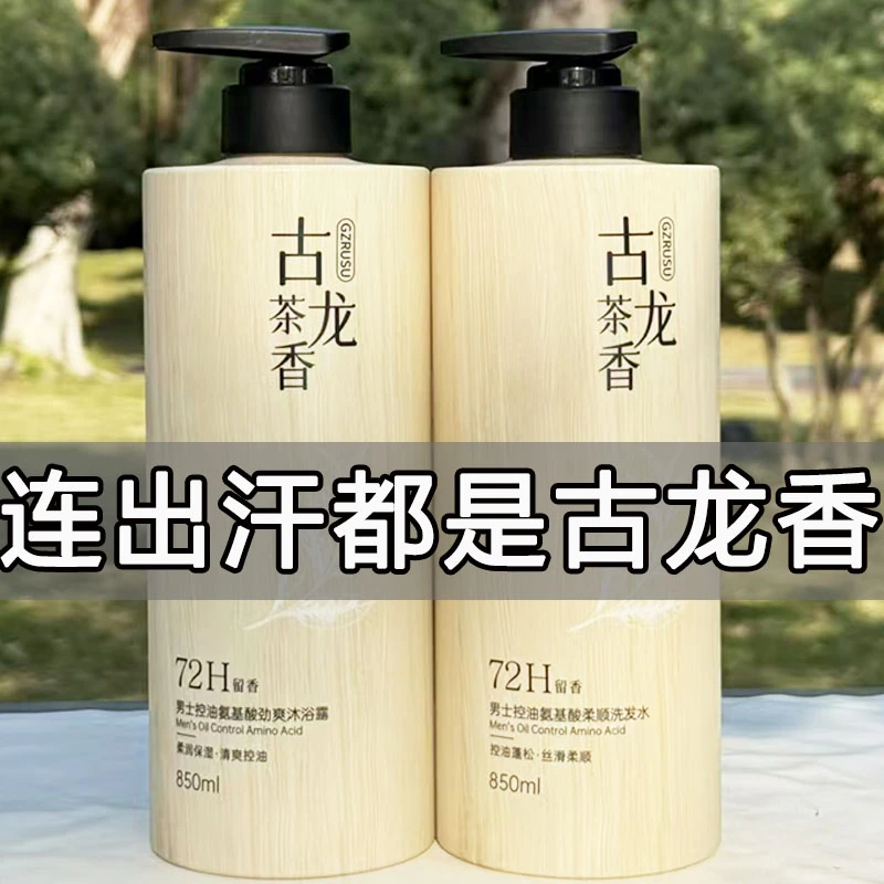 男士古龙茶香氨基酸香氛洗发水控油蓬松去屑柔顺持久留香洗发乳男