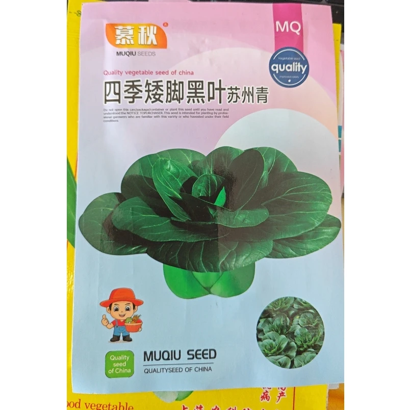 【满5包包邮】苏州青黑大头蔬菜种子