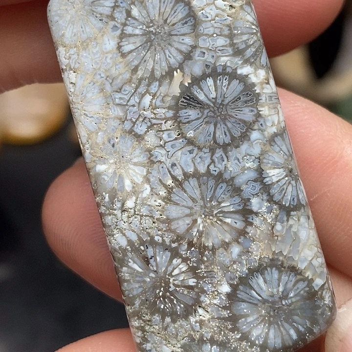 硅化玉未镶嵌颈饰