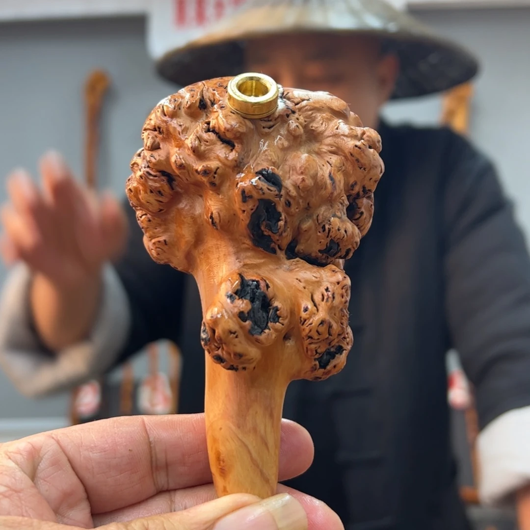 黑果木其他黑果木252