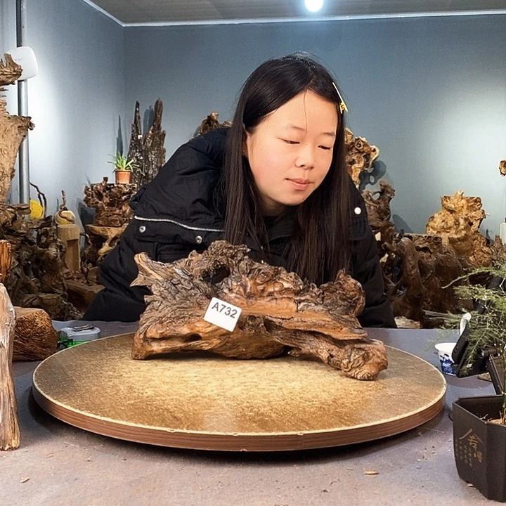 茶盏钰****爷732株木的随行的根艺