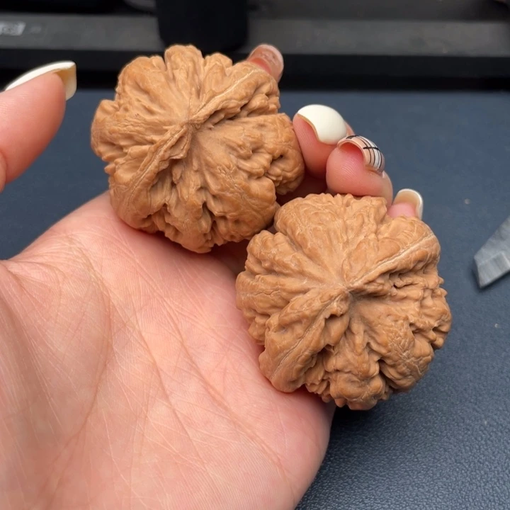 吴***救霸王龙全品无瑕疵