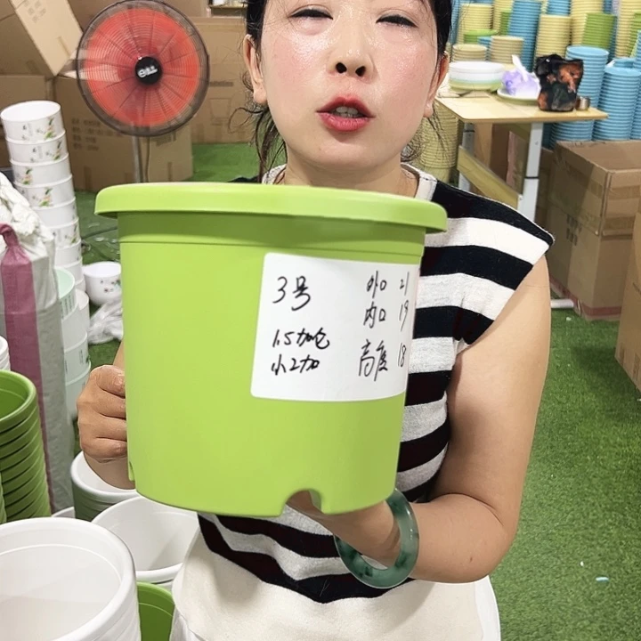 特价3号四季口21高18白色10只无托