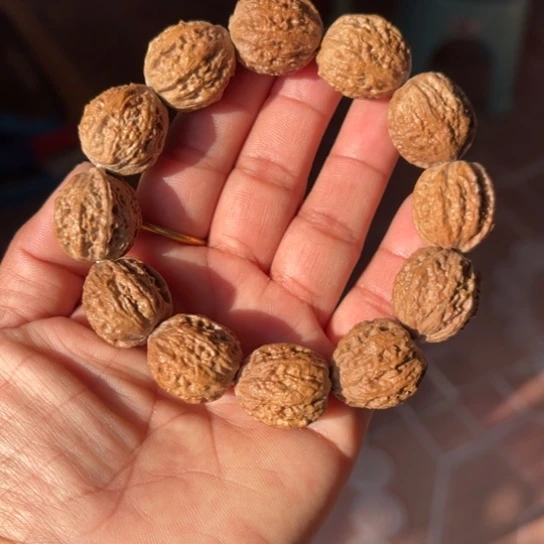 木质野生秋子手串
