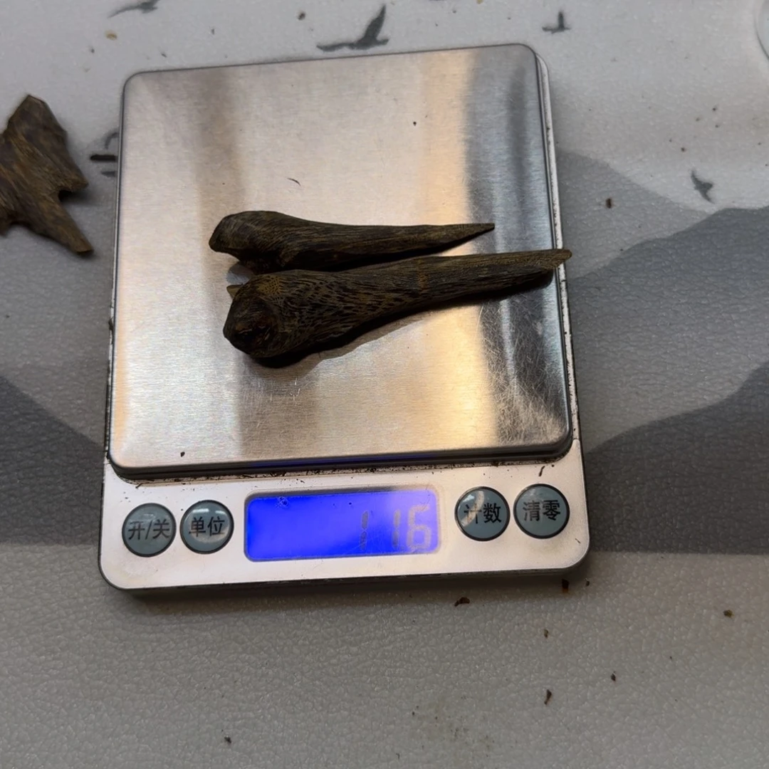 ****爪木奇楠沉水树钉11.6克
