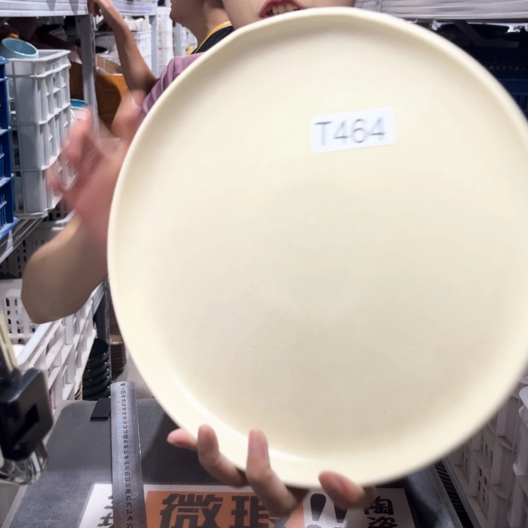 瓷片464               2个