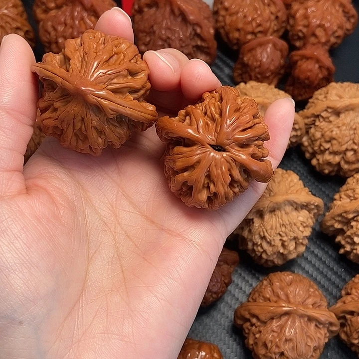 木质类42狮虎兽。