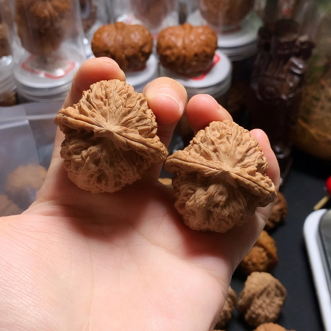 把件文玩核桃白狮子41红皮全品
