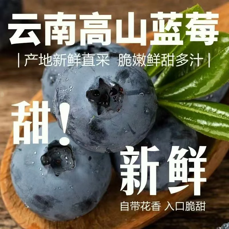 【精品大果!】云南露天花香蓝莓高山种植现采现发顺丰空运到家LF