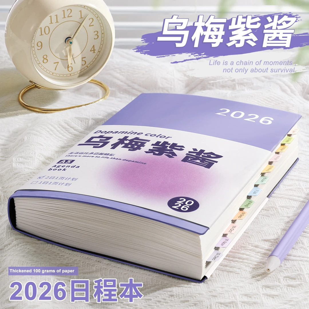 日程本2026年新款每日计划笔记本记事一日一页自律打卡365天总结