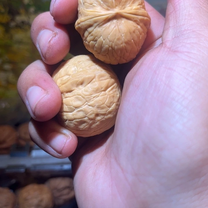 文玩核桃吊坠滇西10