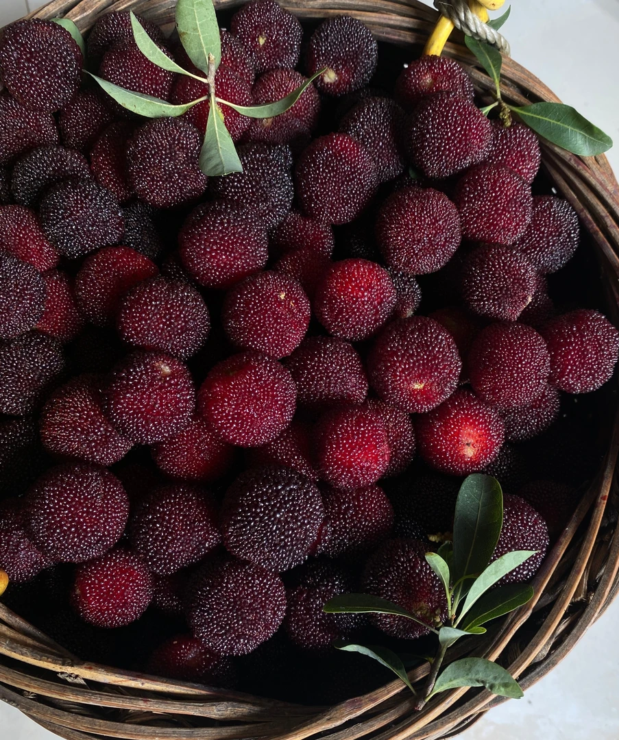 慈溪杨梅新鲜当季现摘果酸鲜甜