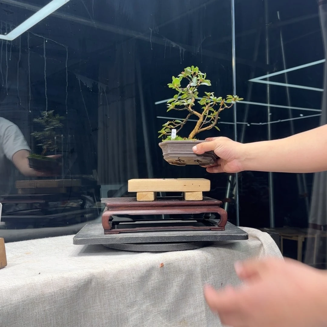 用****7花卉苗木花卉苗木