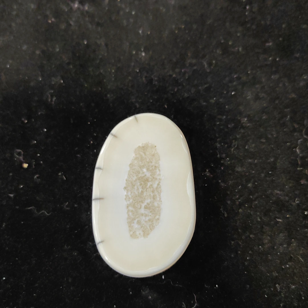 猛犸猛犸虬饼子WT371