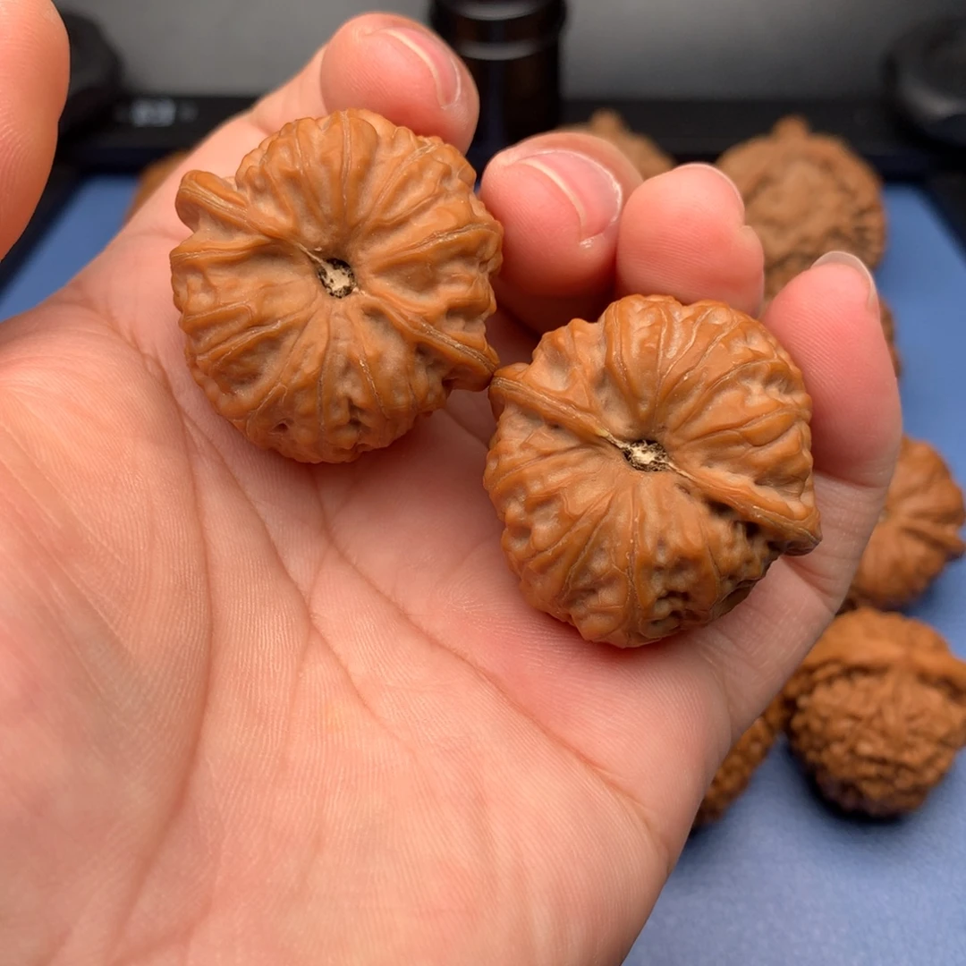 文玩核桃把件37玄龙凹底