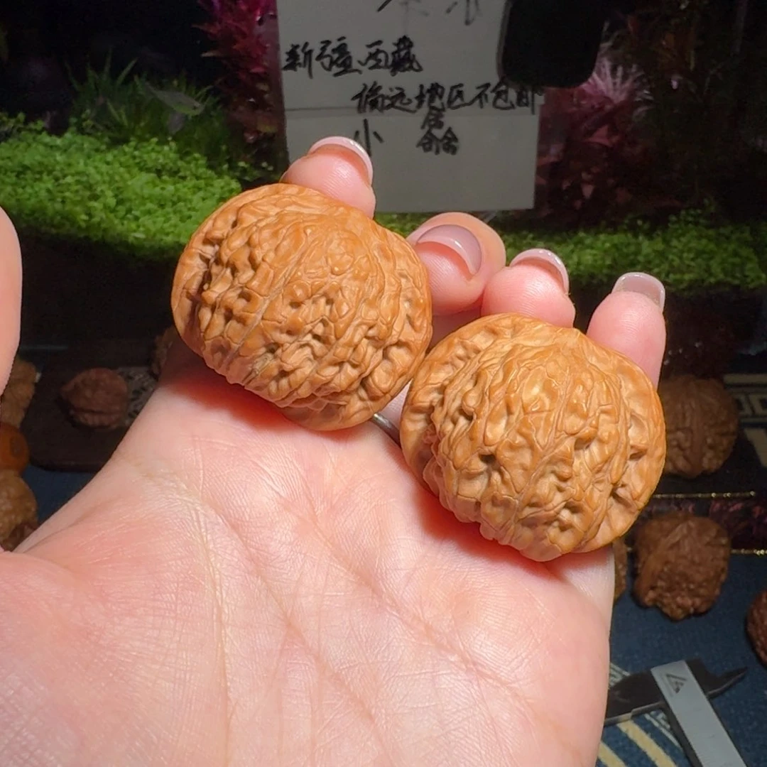 核桃把件1784号38正磨磨盘狮子头文玩核桃
